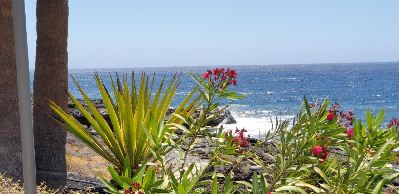 Cosy Well Located Apartment Tenerife Sur Golf San Miguel de Abona Exterior photo
