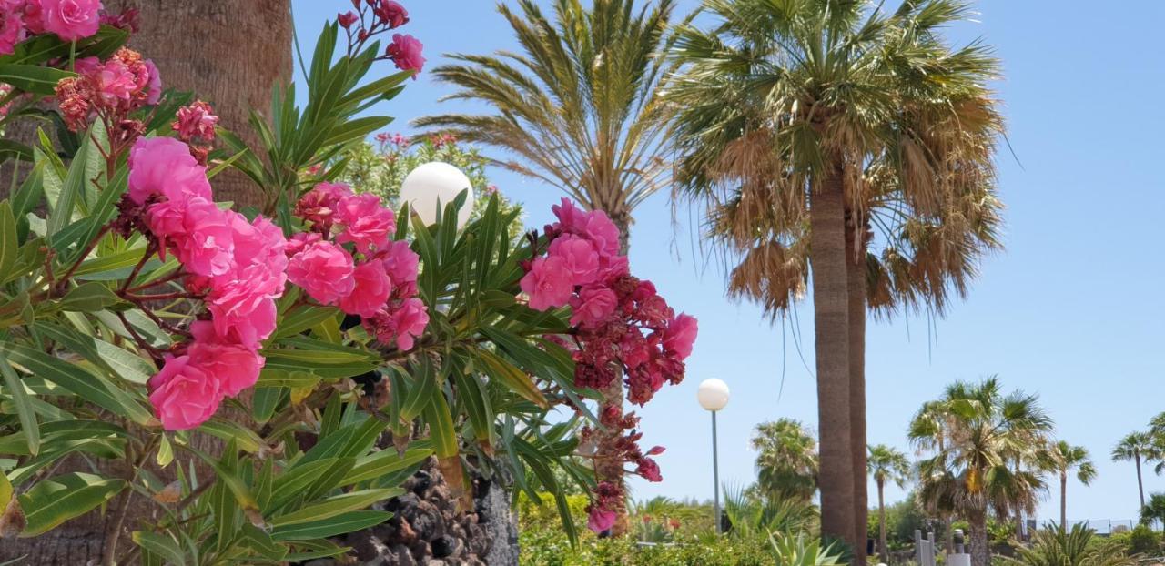 Cosy Well Located Apartment Tenerife Sur Golf San Miguel de Abona Exterior photo